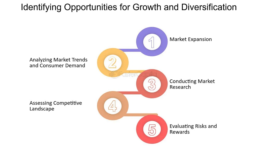 Understanding Market Growth Opportunities