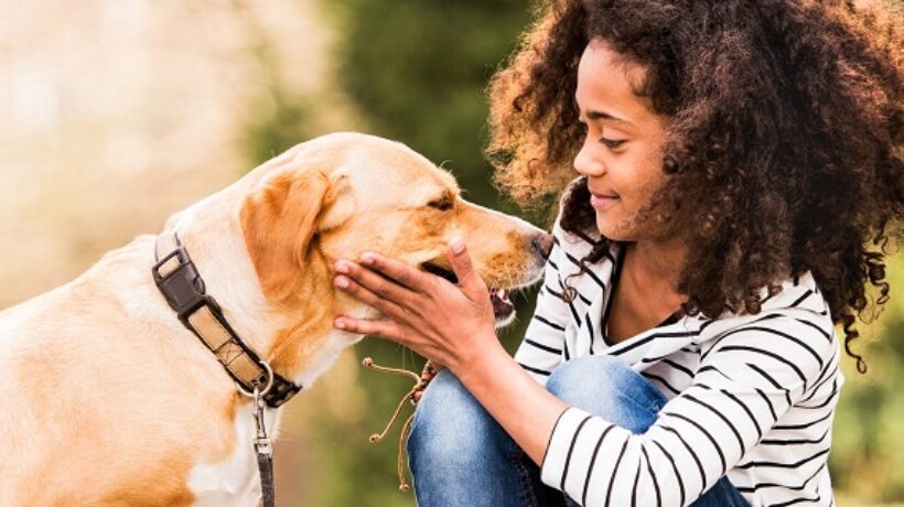 The Vital Role of Personal Safety Awareness in Reducing Dog Bite Incidents