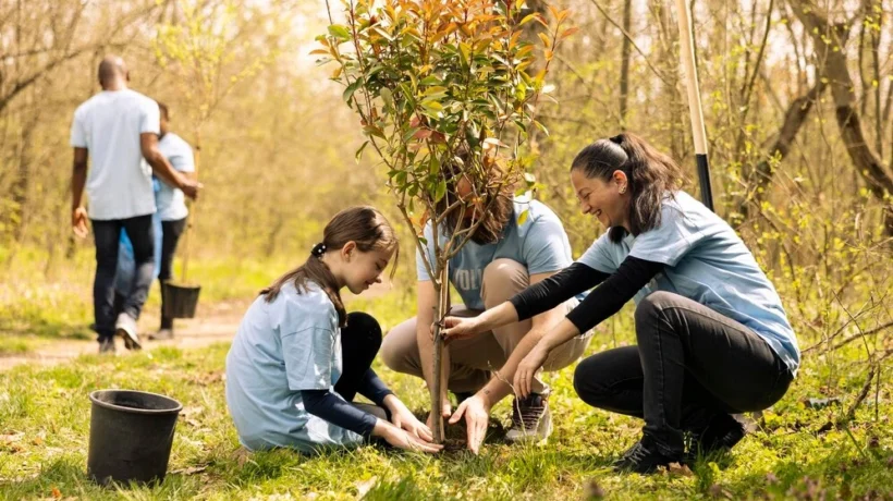 Cultivating Healthy Trees: Safety, Aesthetics, and Biodiversity in Your Yard