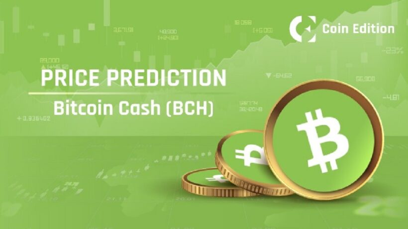 Bitcoin Cash (BCH) Price Prediction 2030: A Deep Dive