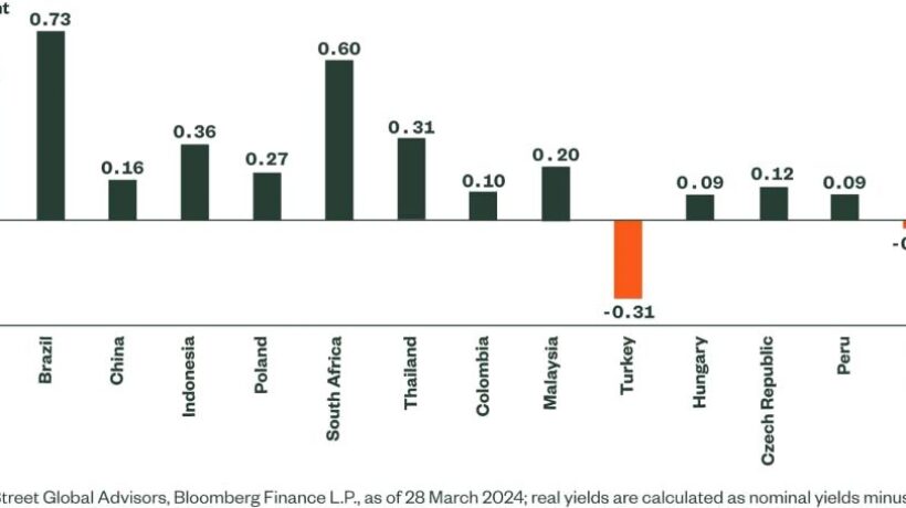 Understanding the Basics: What is Emerging Market Debt?