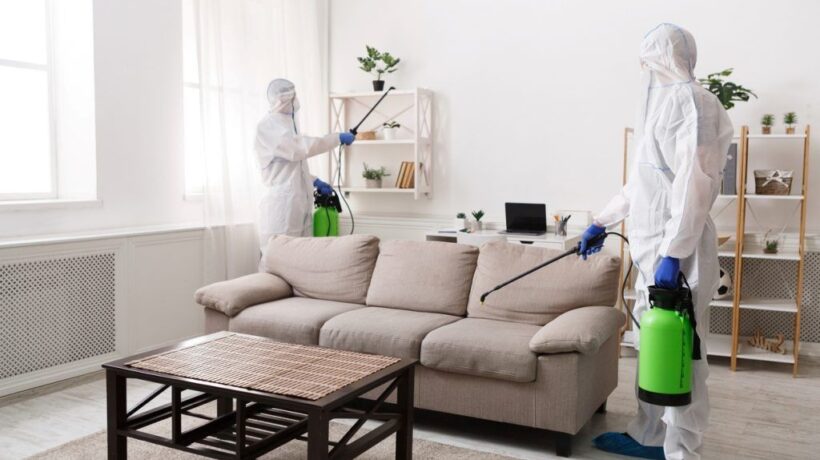 Effective Strategies for Pest Control and Prevention
