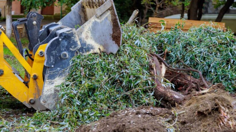 Brush Clearing Methods: Comparing Traditional and Eco-Friendly Approaches