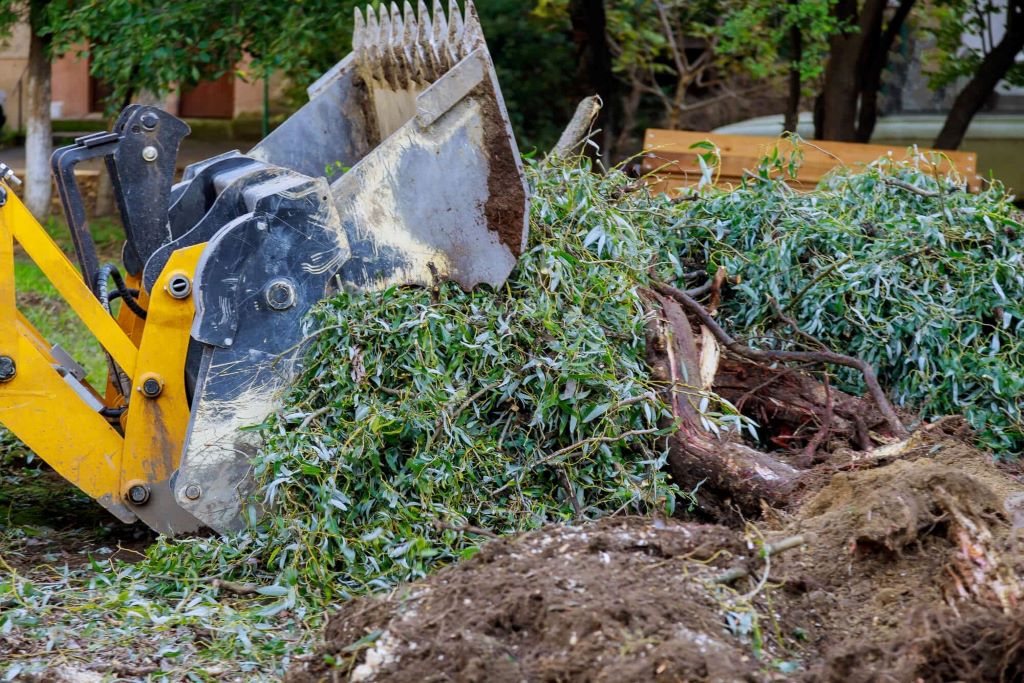 Why Brush Clearing Matters