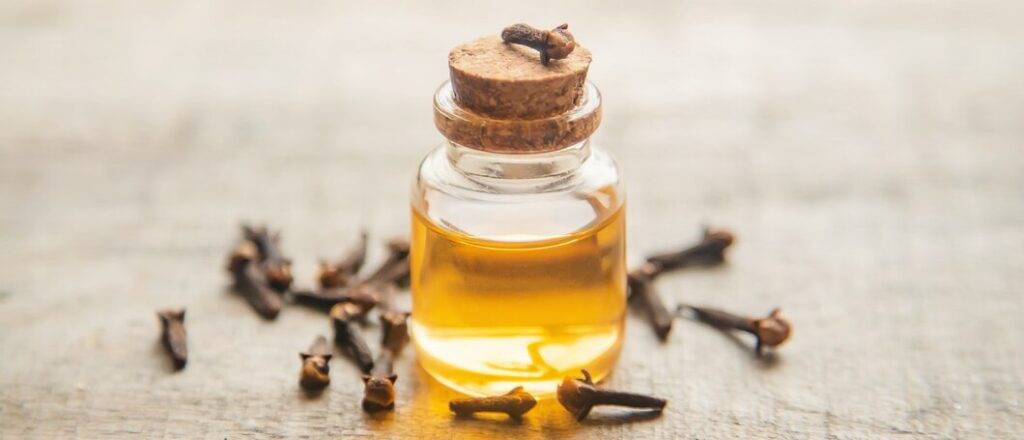Clove oil bottle and cotton swab for tooth infection relief